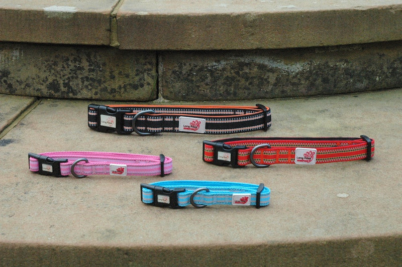 .Zgarda Long Paws Comfort Collection Rosu - PetGuru Pet Shop by Vetomed
 - 5