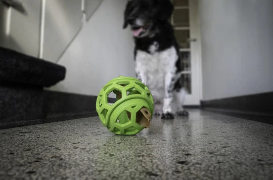 Jucarie Dog Comets Minge Titan ø 11.5 cm