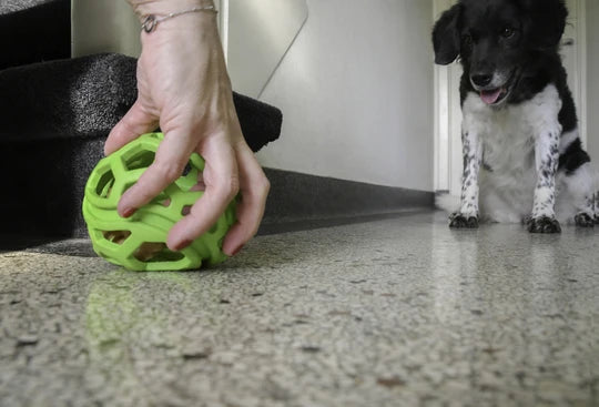 Jucarie Dog Comets Minge Titan ø 11.5 cm