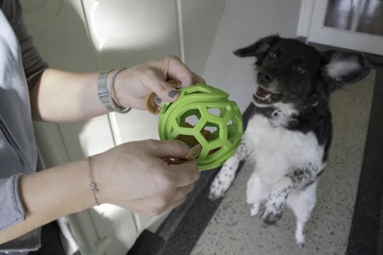 Jucarie Dog Comets Minge Titan ø 11.5 cm