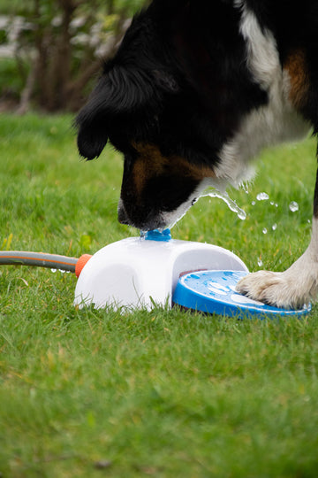 CoolPets Fantana de apa Splash