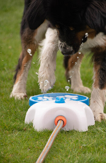 CoolPets Fantana de apa Splash