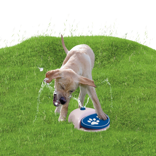 CoolPets Fantana de apa Splash