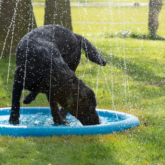 CoolPets Fantana arteziana cu piscina