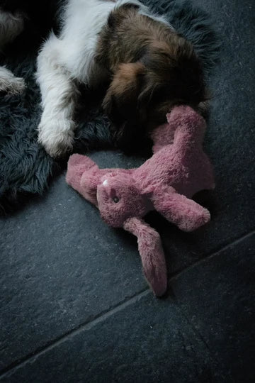 Jucarie Iepuras Cozy