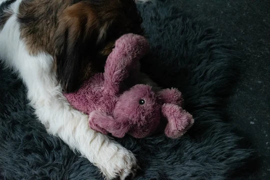 Jucarie Iepuras Cozy
