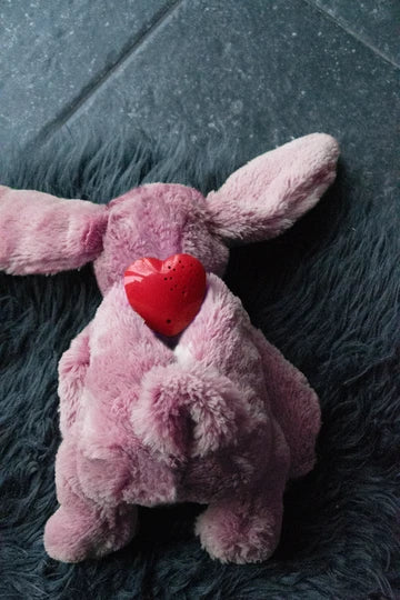 Jucarie Iepuras Cozy