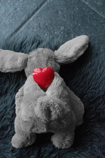 Jucarie Iepuras Cozy