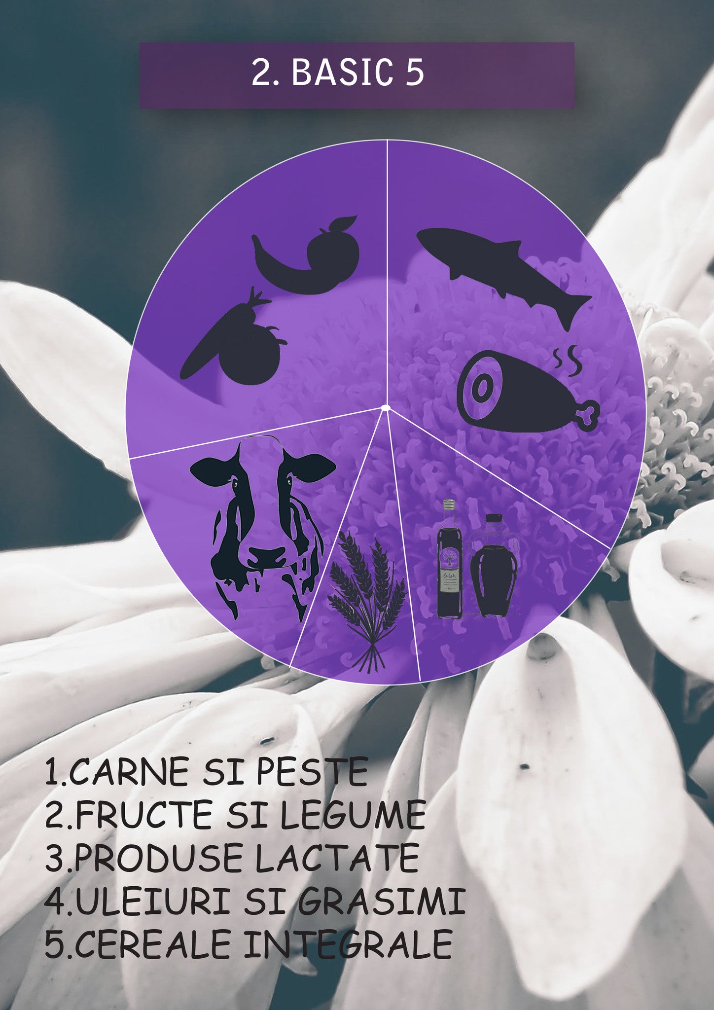 Hrana Caini Premium - .Natural Health Basic 5 Puppy 12,5kg - Cluj
