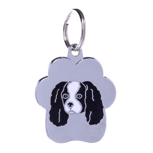 .Medalion Rainbow Cavalier King - PetGuru Pet Shop by Vetomed
 - 1