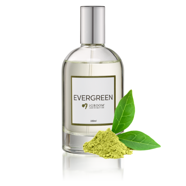 iGroom Parfum Evergreen pentru Caini 100ml