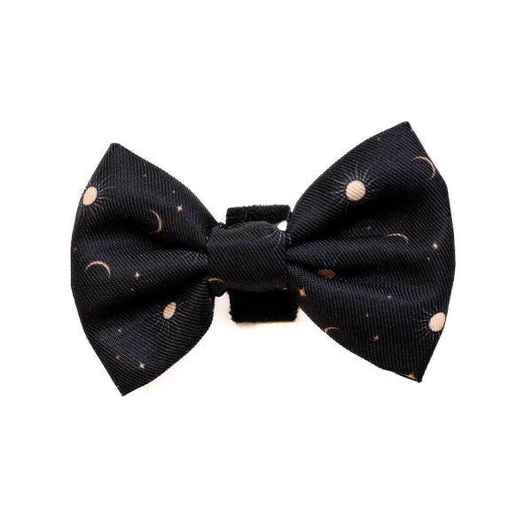 Papion Long Paws FTD Night Sky