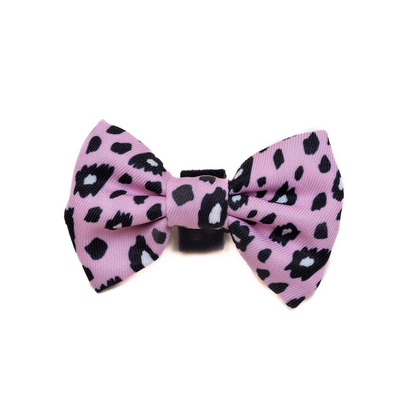 Papion Long Paws FTD Leopard Roz