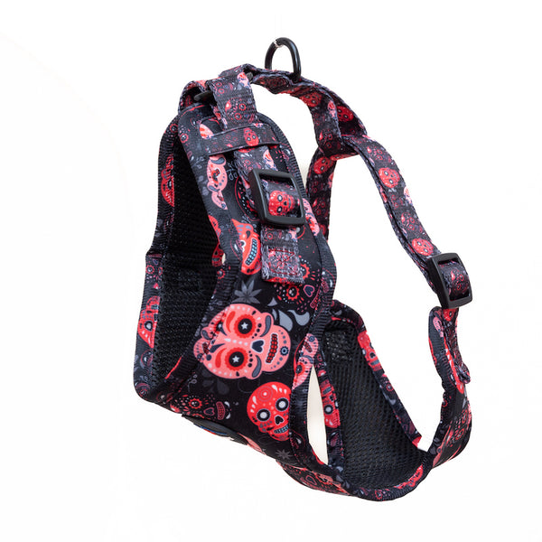 Ham Long Paws FTD Cranii Negru/Roz
