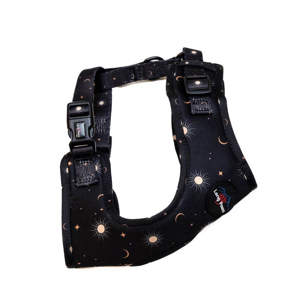 Ham Long Paws FTD Night Sky