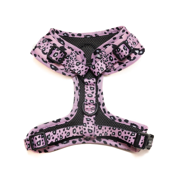 Ham Long Paws FTD Leopard Roz