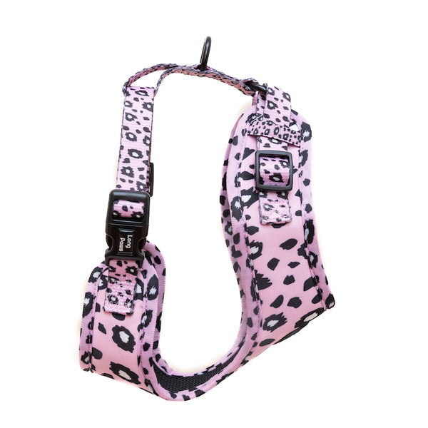 Ham Long Paws FTD Leopard Roz