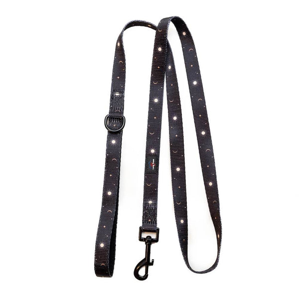 Lesa Long Paws FTD Night Sky