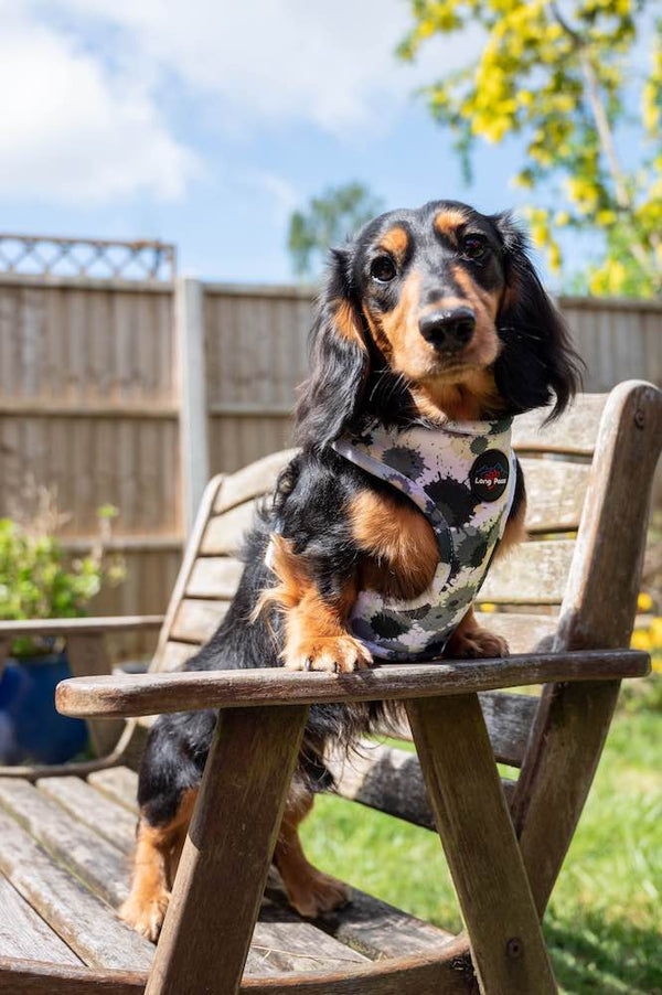Ham Long Paws FTD Gri Splodge