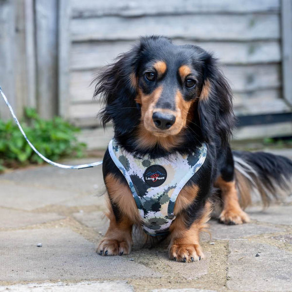 Ham Long Paws FTD Gri Splodge