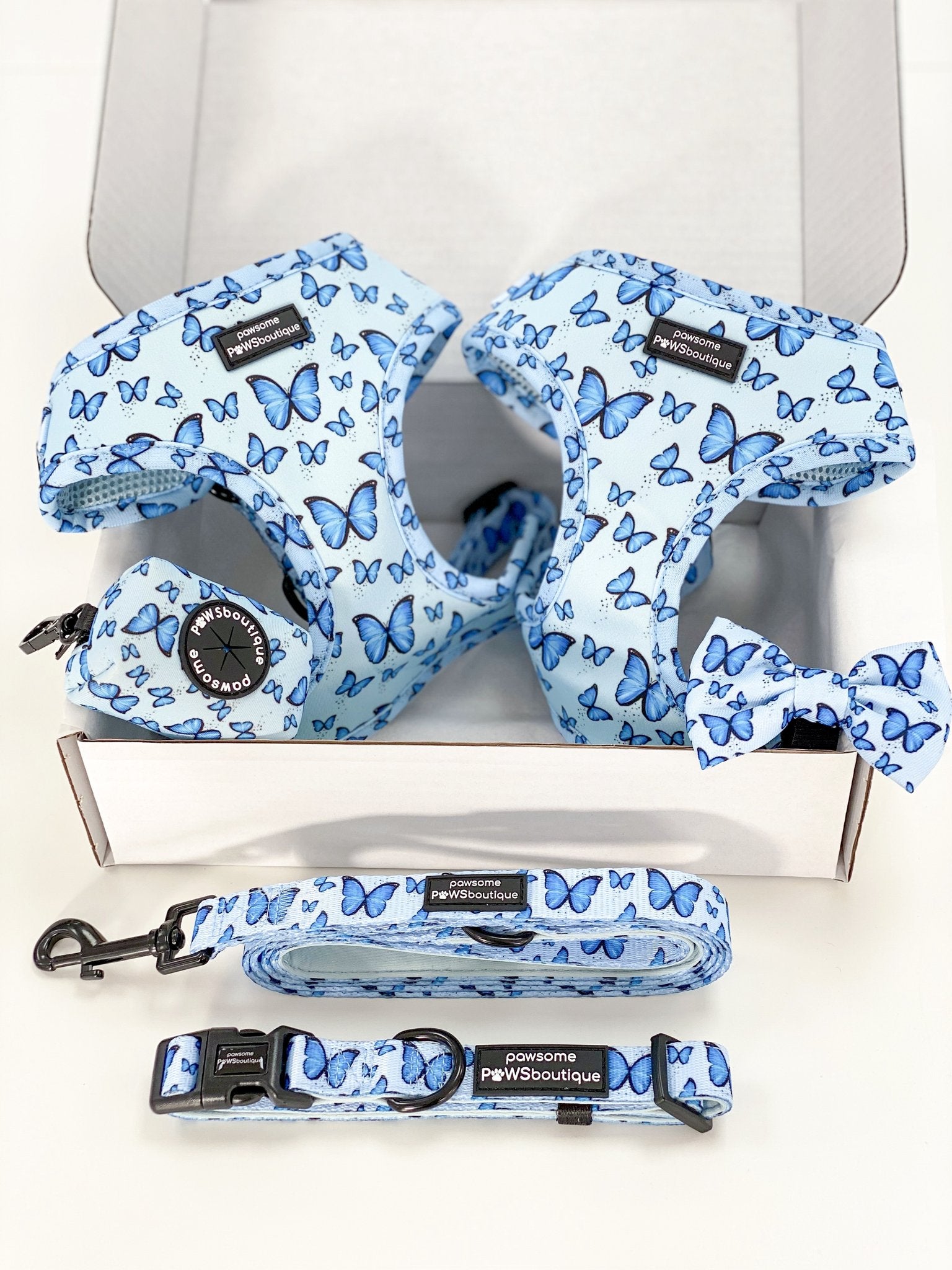 Pawsome Paws Ham-Nova Blue