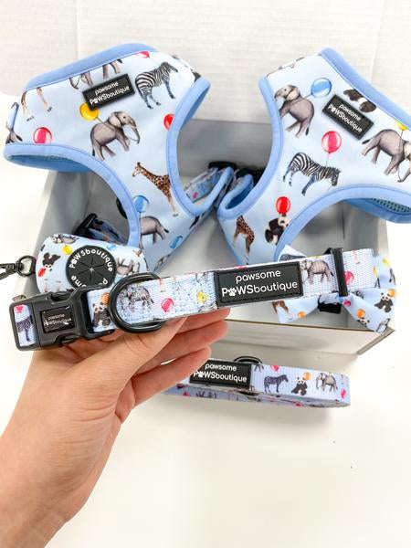 Pawsome Paws Zgarda-Up, Pup + Away