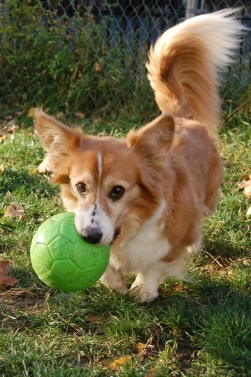 Jucarie Jolly Soccer Ball 15 cm