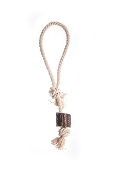 Corn de cerb rosu- cu sfoara- recompensa naturala pentru ros LOOP