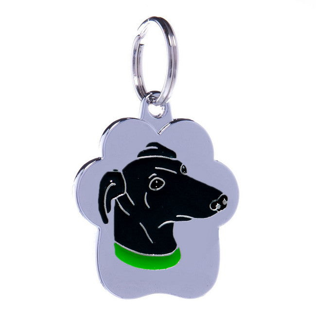 .Medalion Rainbow Greyhound par scurt gri - PetGuru Pet Shop by Vetomed
 - 1