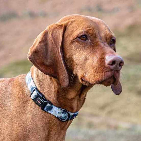 Zgarda Long Paws FTD - Splodge Grey