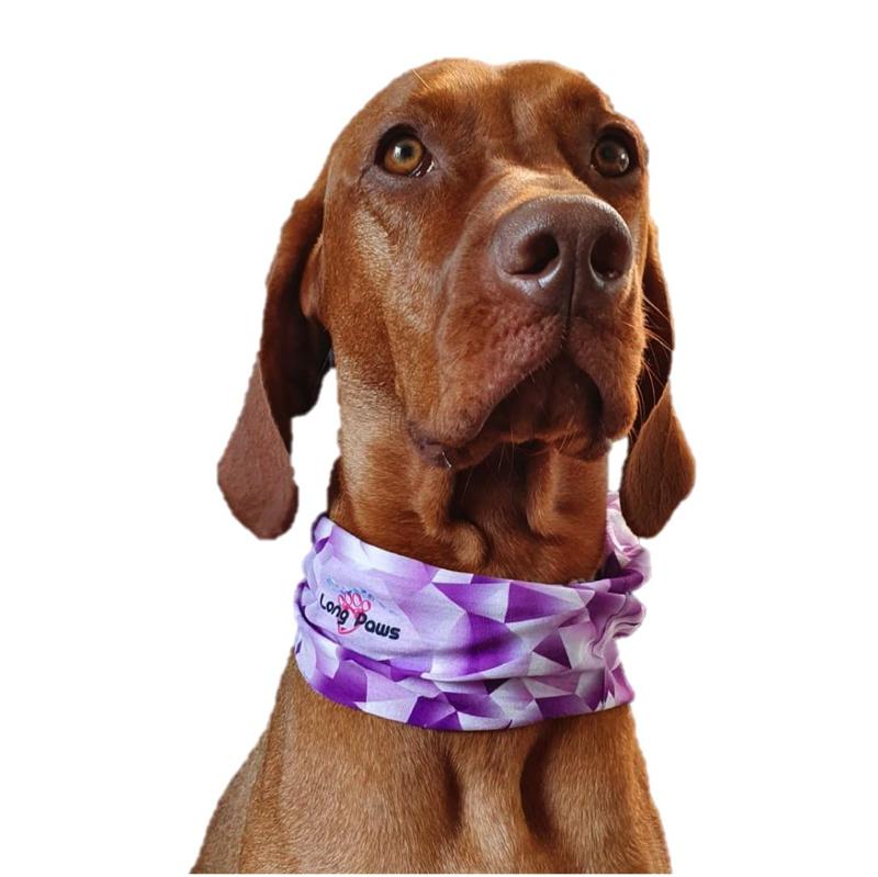 Bandana caini