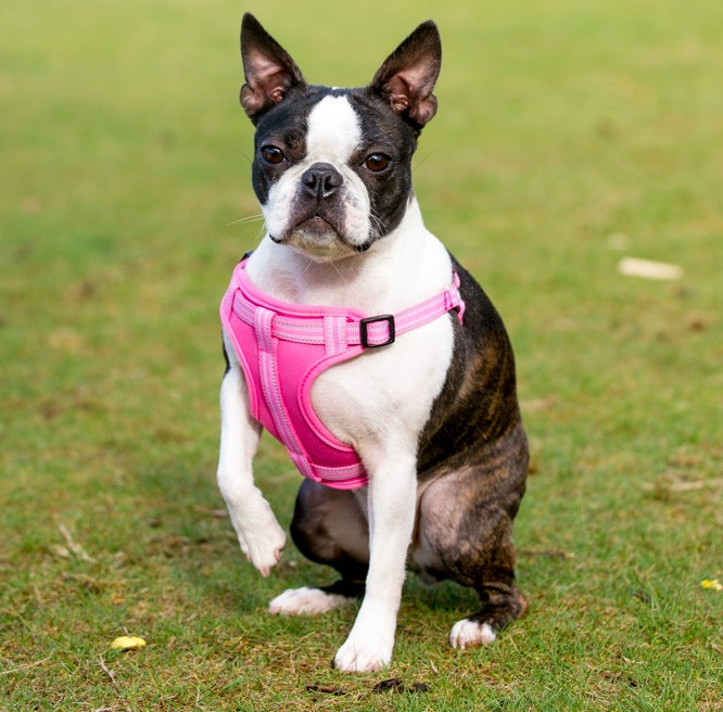 Ham Long Paws Comfort Collection Roz