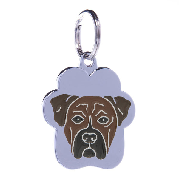 Medalion Rainbow Boxer Tigrat Tabby