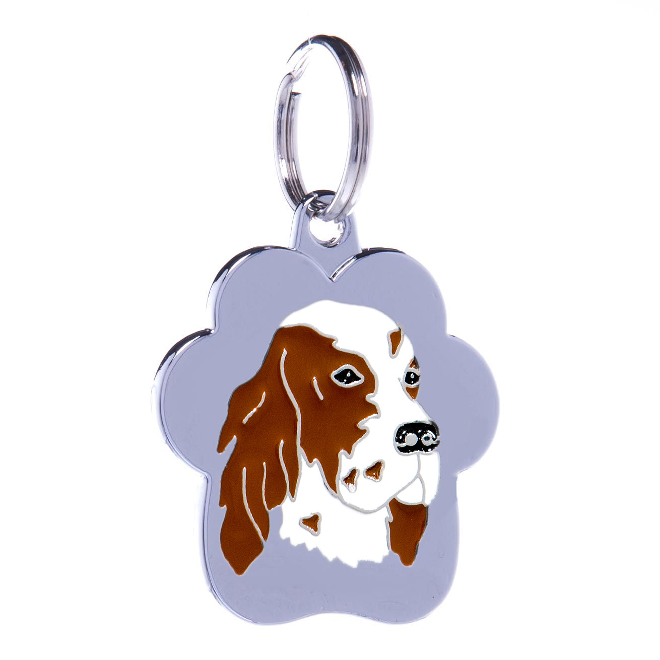 Medalion Rainbow Setter Englez Alb/Maro