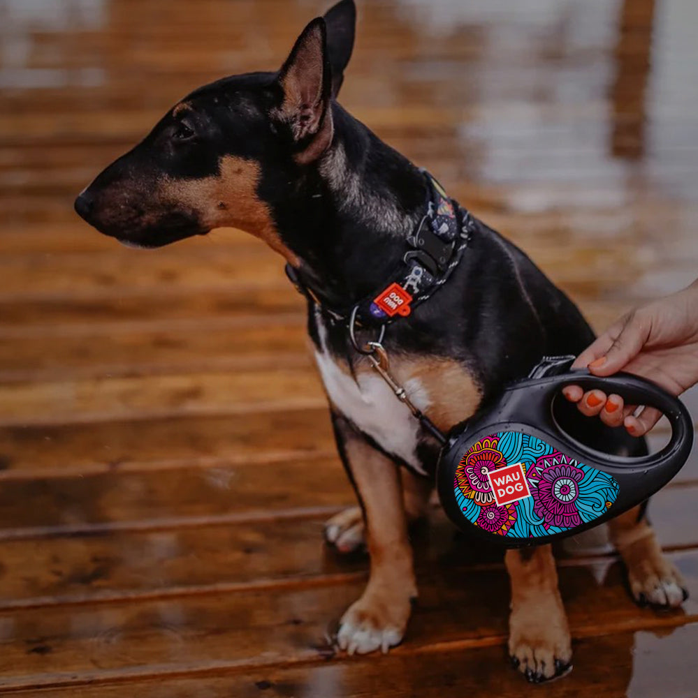 Lesa Retractabila pentru caini WAUDOG R-leash Donut