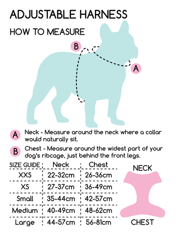 Pawsome Paws Ham-Nova Blue