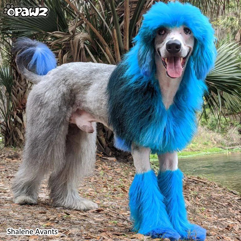 Opawz Innocent Blue- vopsea permanenta pentru caini si cai