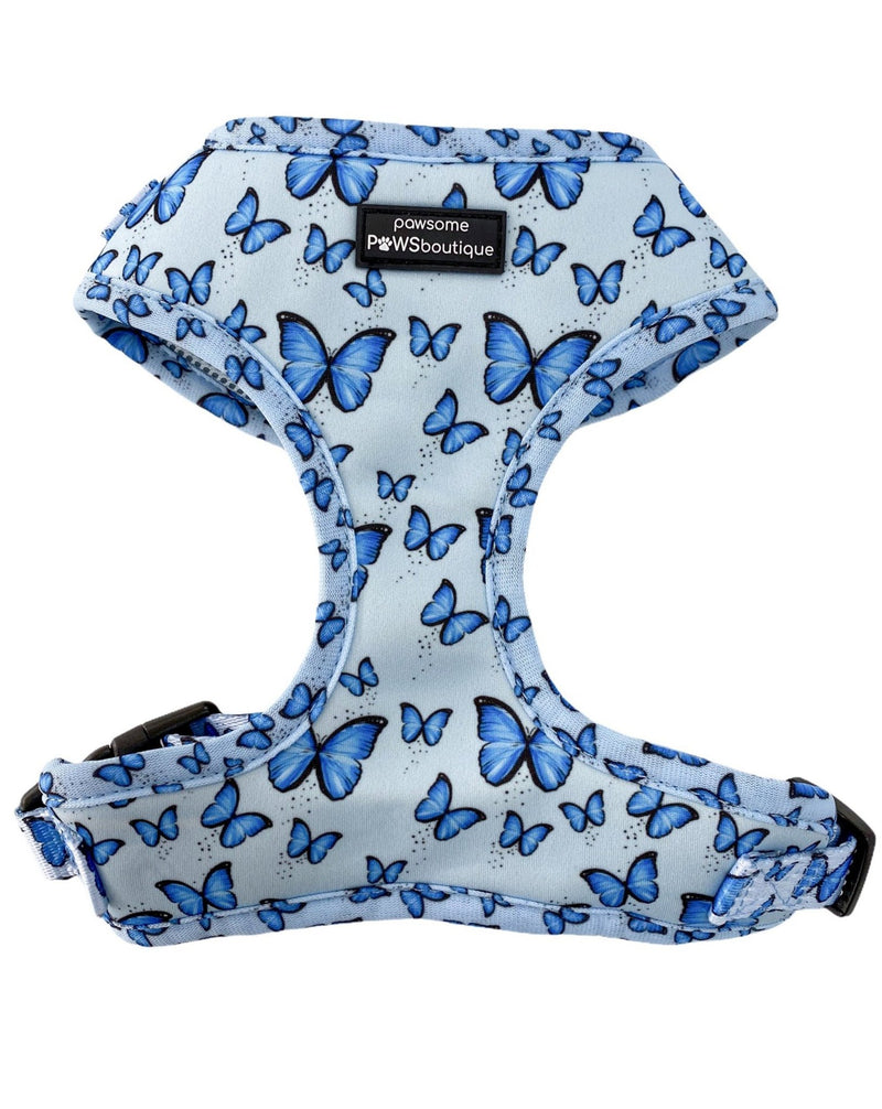 Pawsome Paws Ham-Nova Blue