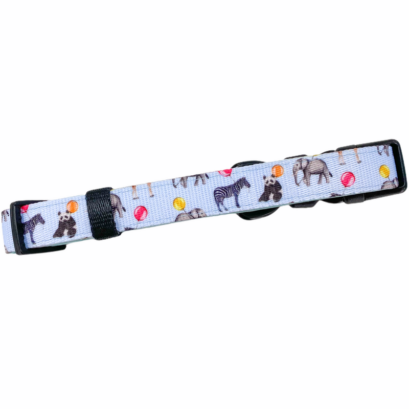 Pawsome Paws Zgarda-Up, Pup + Away