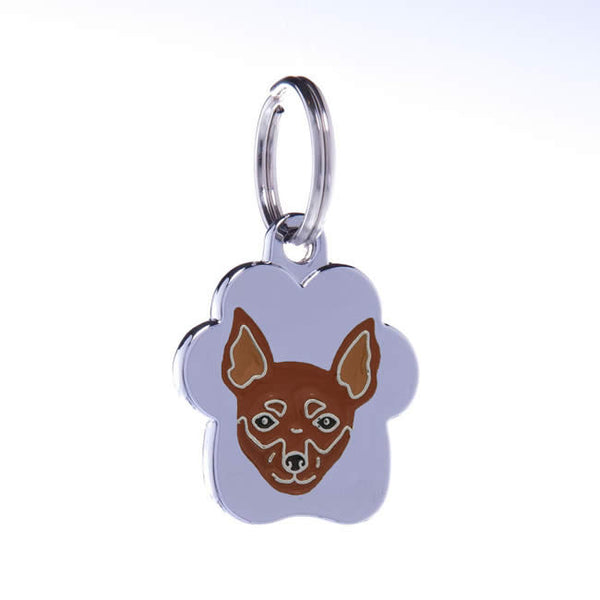 .Medalion Rainbow Pinscher - PetGuru Pet Shop by Vetomed
 - 1