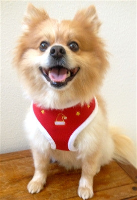 Ham Puppia Santa - PetGuru Pet Shop by Vetomed
 - 4