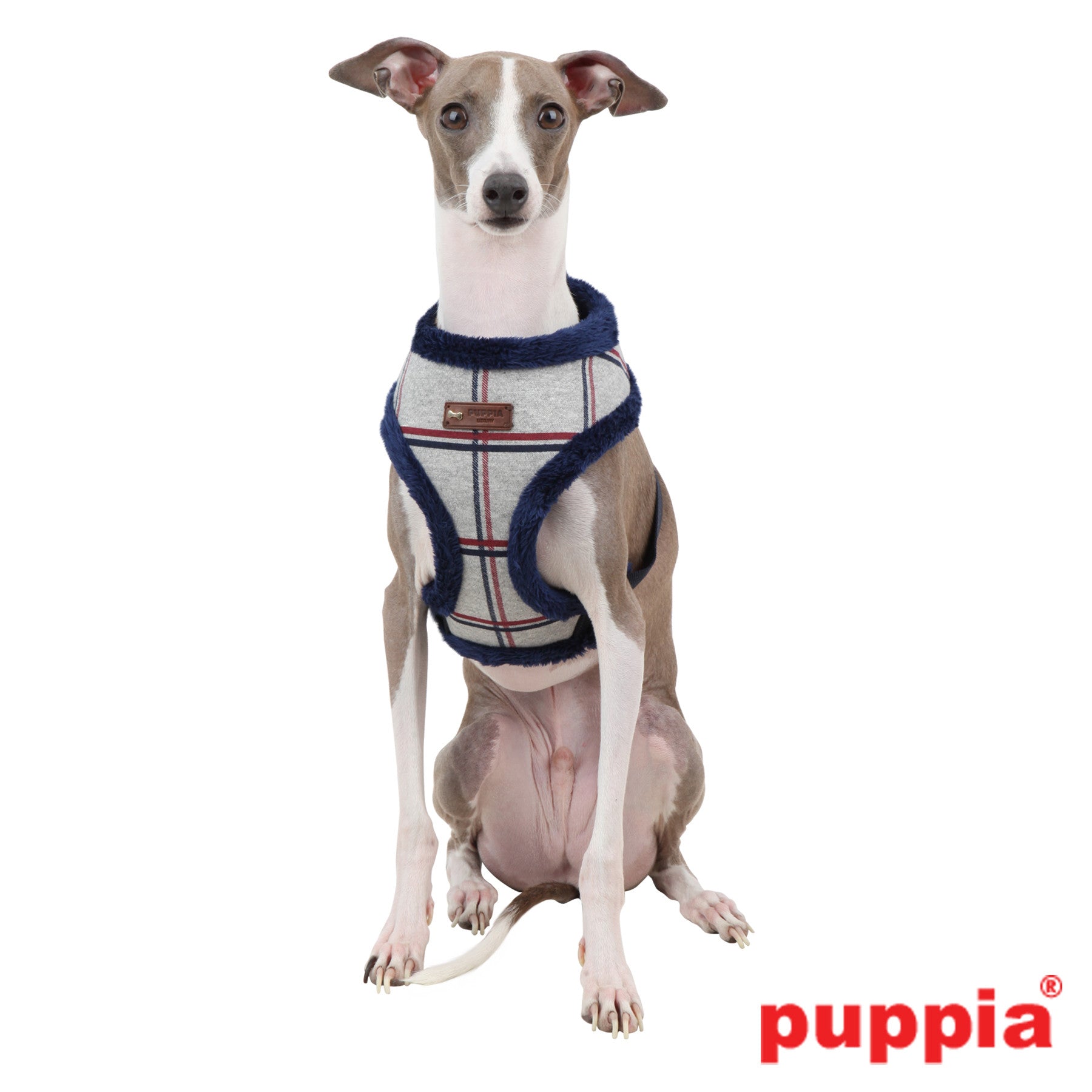 Ham Puppia Scholastic Gri - PetGuru Pet Shop by Vetomed
 - 2