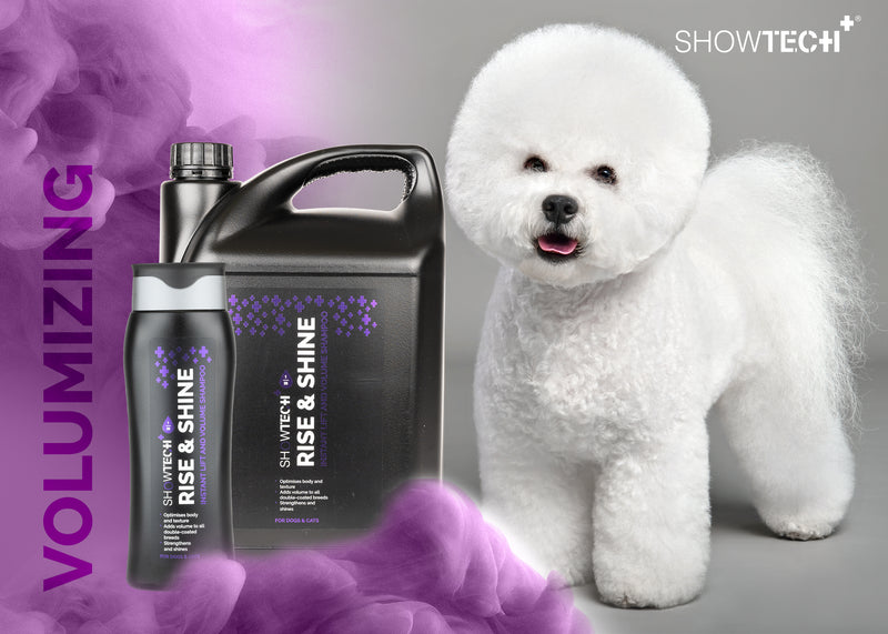 Show Tech+ Sampon pentru volum Rise & Shine 300ml