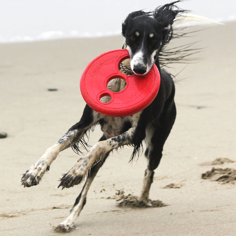 Rogz Frisbee RFO (rogz flying object)L- 23 CM