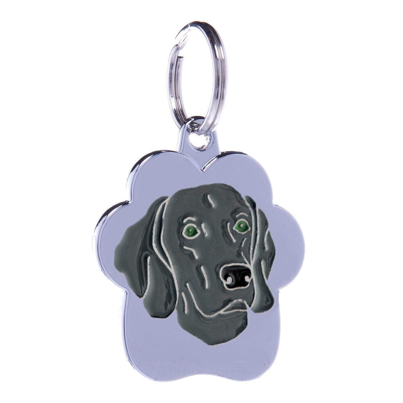 .Medalion Rainbow Weimaraner - PetGuru Pet Shop by Vetomed
 - 1