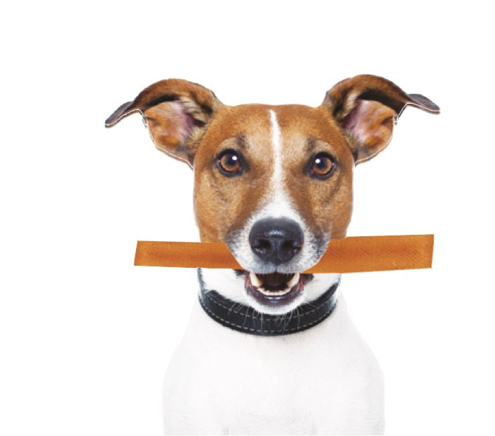 Recompensa Baton de Branza din lapte de Iac