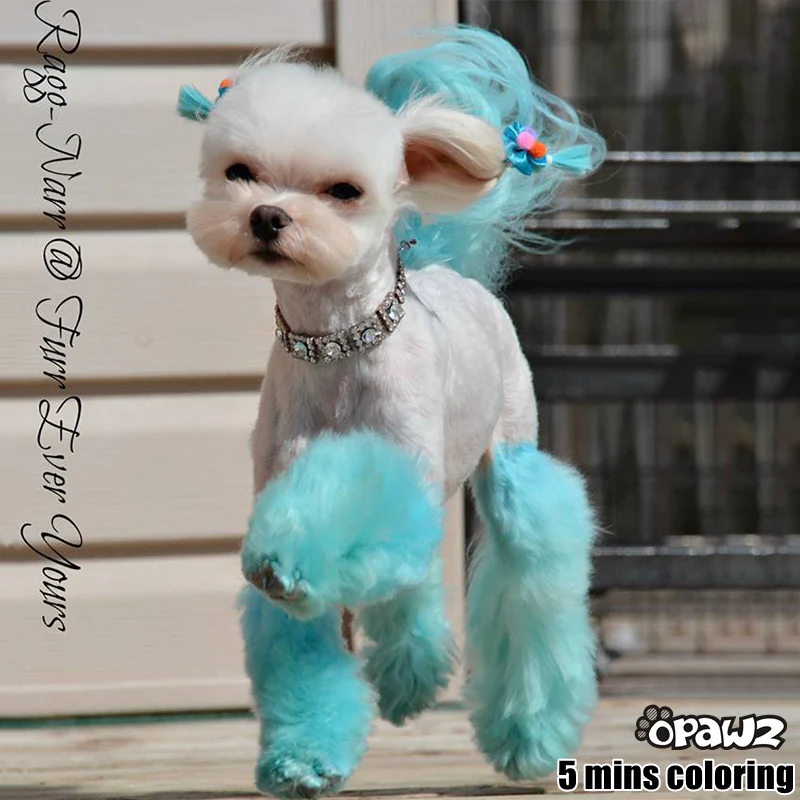 Opawz Innocent Blue- vopsea permanenta pentru caini si cai