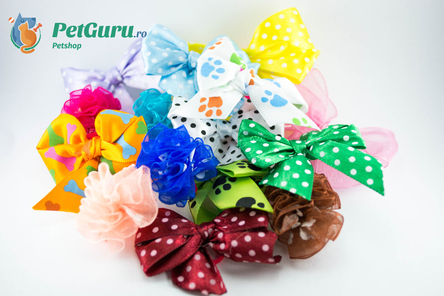 Accesorii Caini- Fundite asortate in Cluj