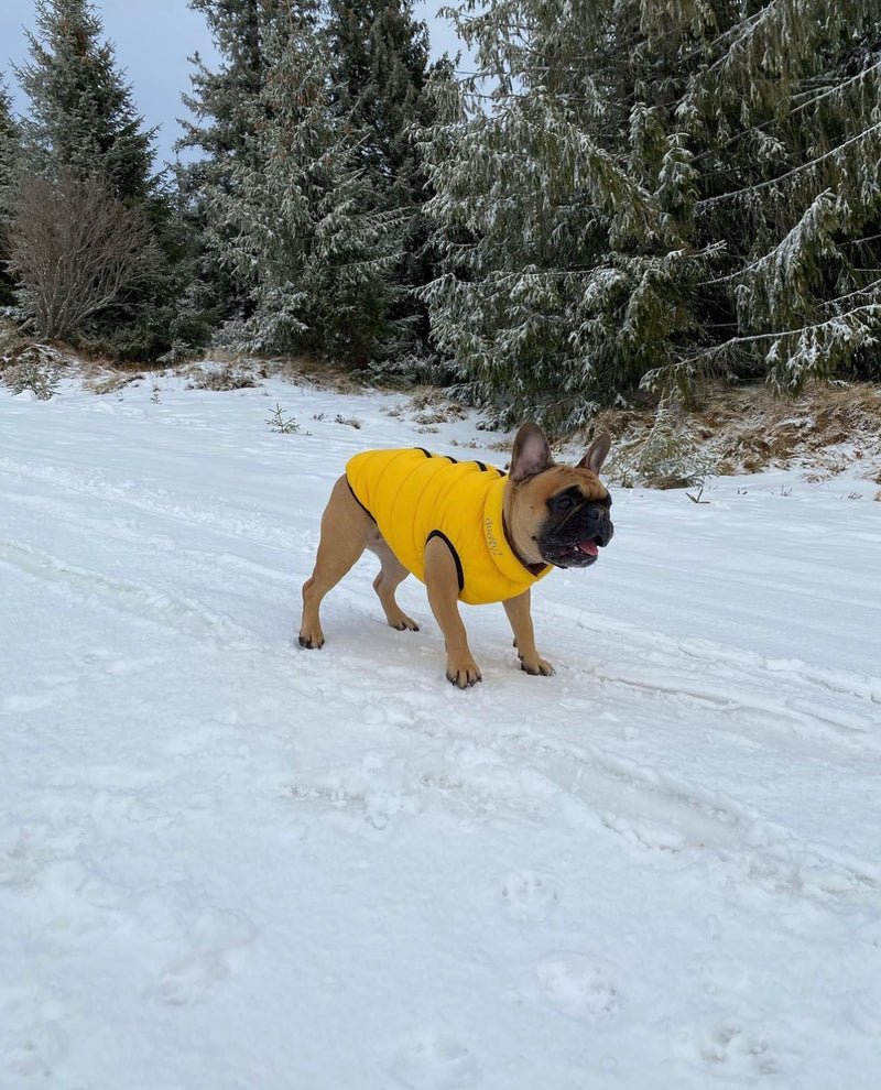 Doogy Haina Reversibila Lighty Galben/Maro pentru caini