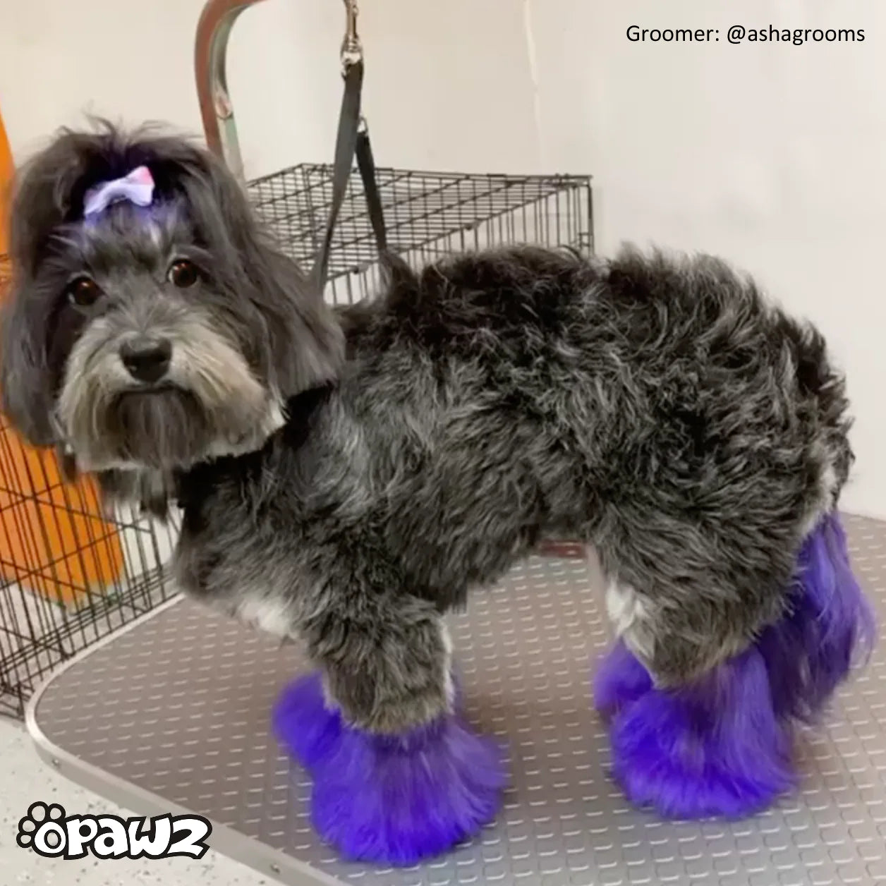 Opawz Mov Indigo- vopsea permanenta pentru caini si cai 8oz. / 234g